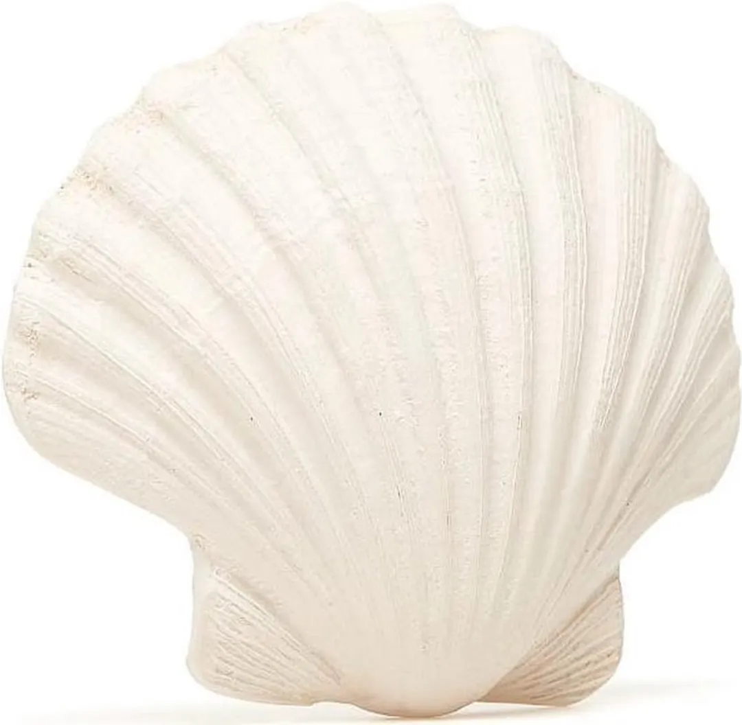 Lanco Rubberen Bijtspeeltje Schelp