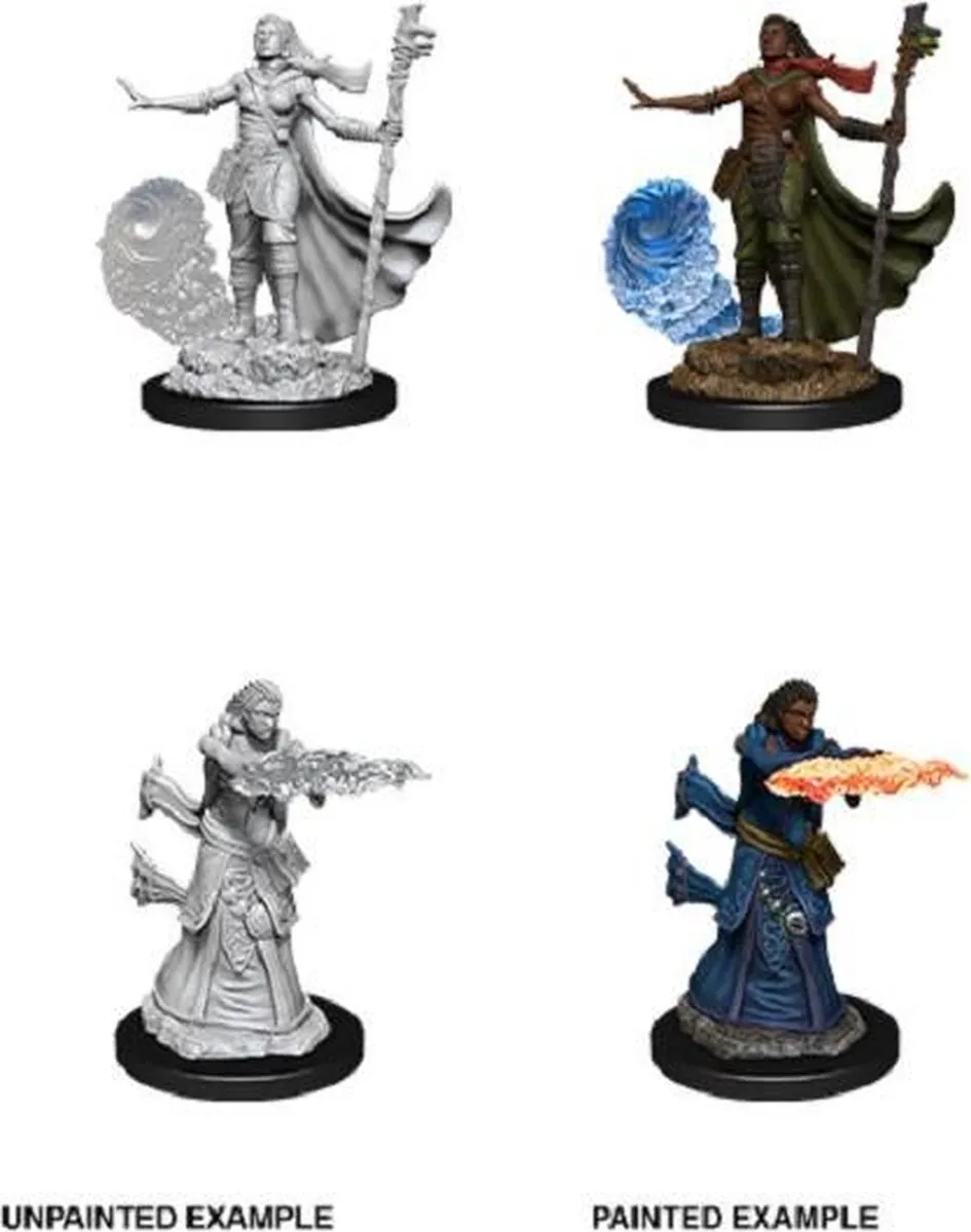 Wizkids Nolzurs Human Wizard