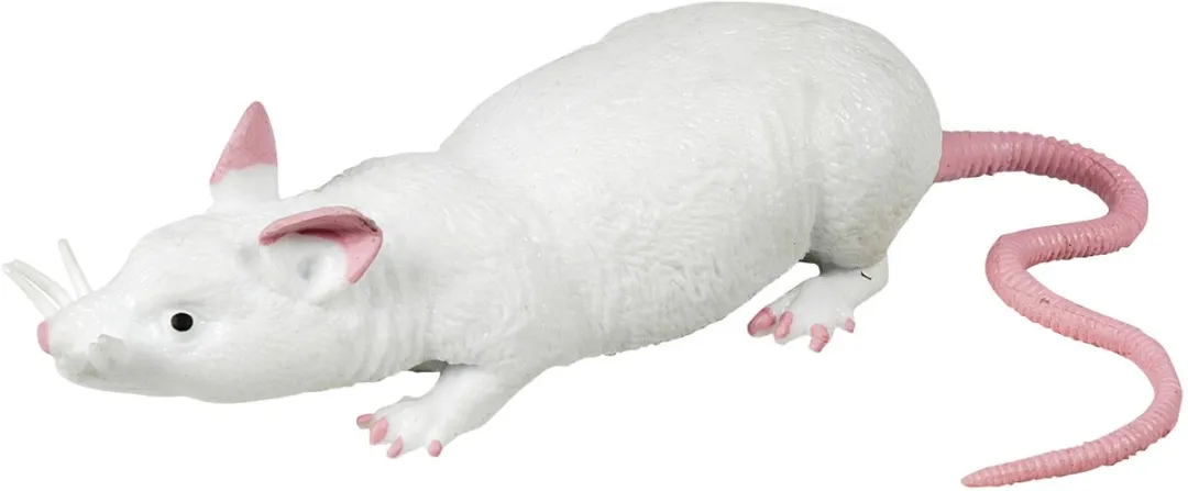 Johntoy Animal World Rat Stretch 3 Assorti - 3+ - Meerkleurig