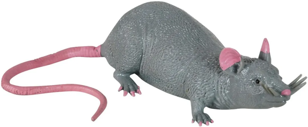 Johntoy Animal World Rat Stretch 3 Assorti - 3+ - Meerkleurig - afbeelding 6 van 6