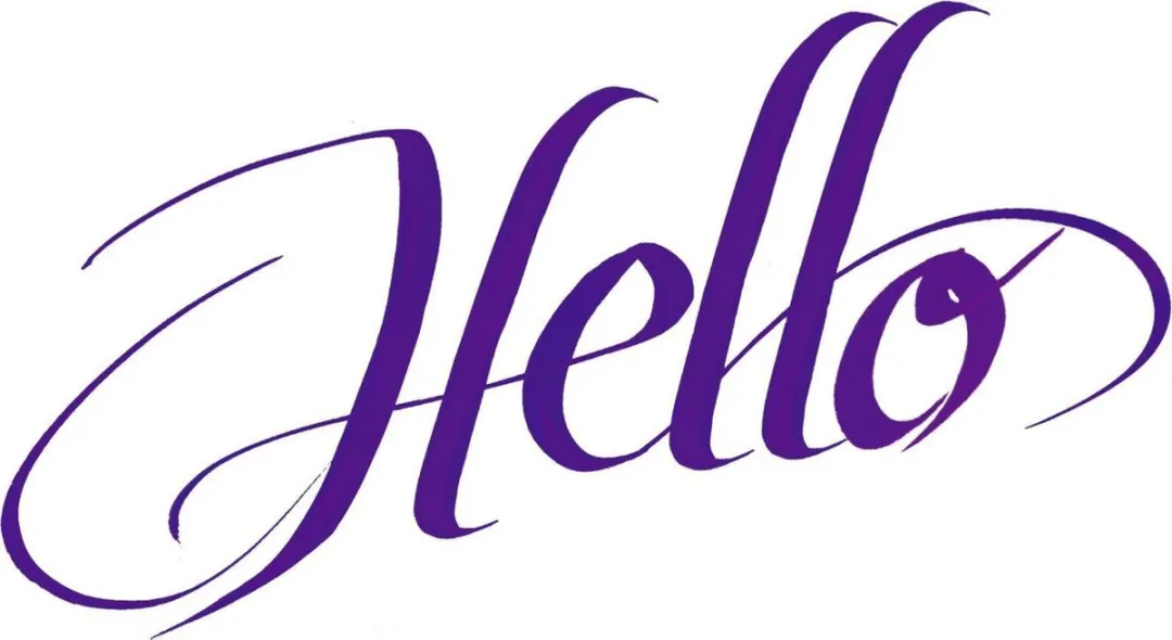 STAEDTLER Design Journey Calligraph Duo 3002 - 5 Kleuren