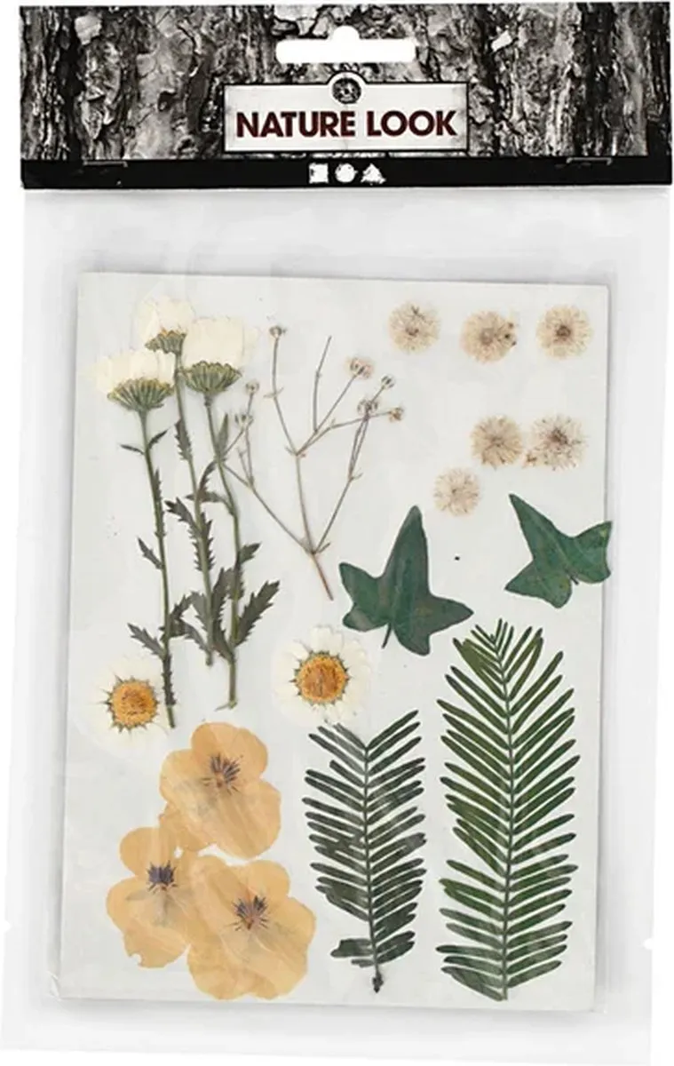 Creativ Company Gedroogde Bloemen & Bladeren 19 Stuks - Off-White