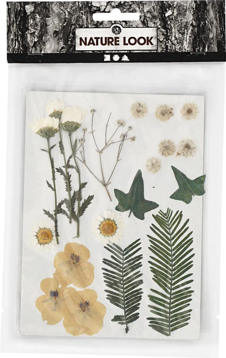 Creativ Company Gedroogde Bloemen & Bladeren 19 Stuks - Off-White