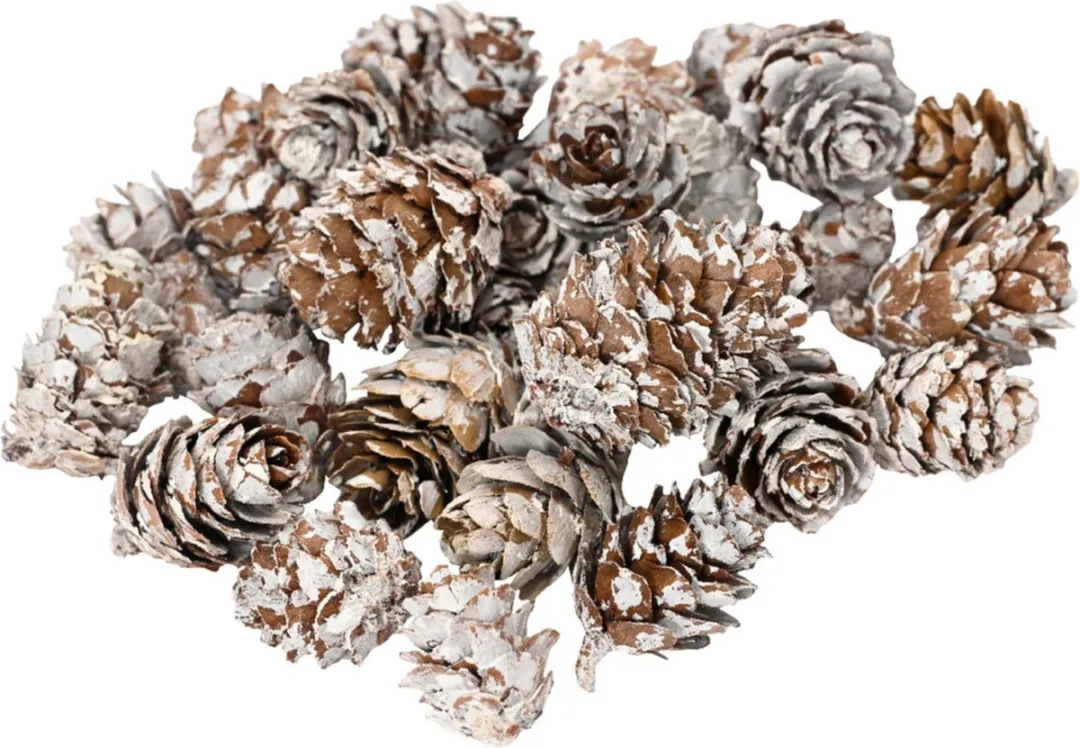 Decoris Kleine Dennenappeltjes