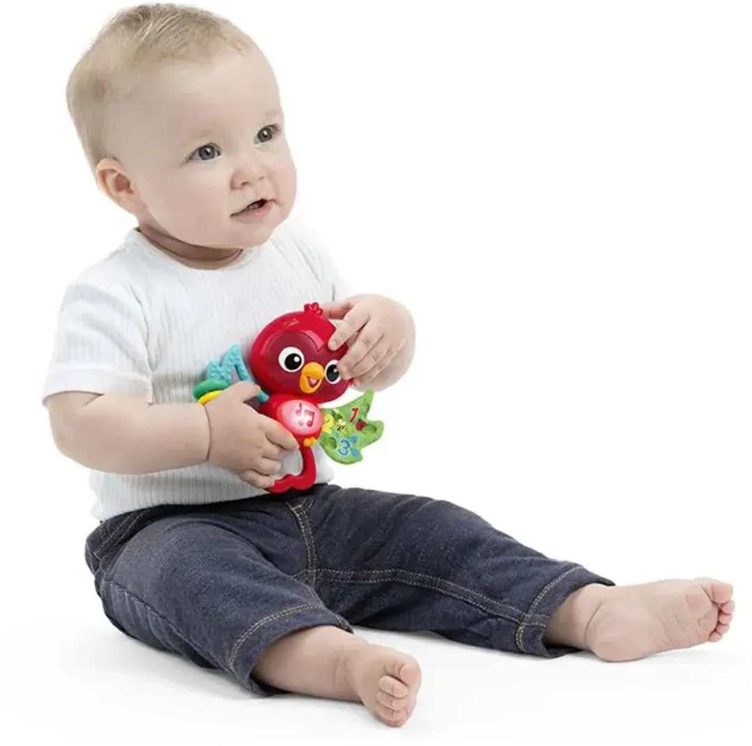 Baby Einstein Roxy's Bright Flight Grijpspeeltje - Multicolor