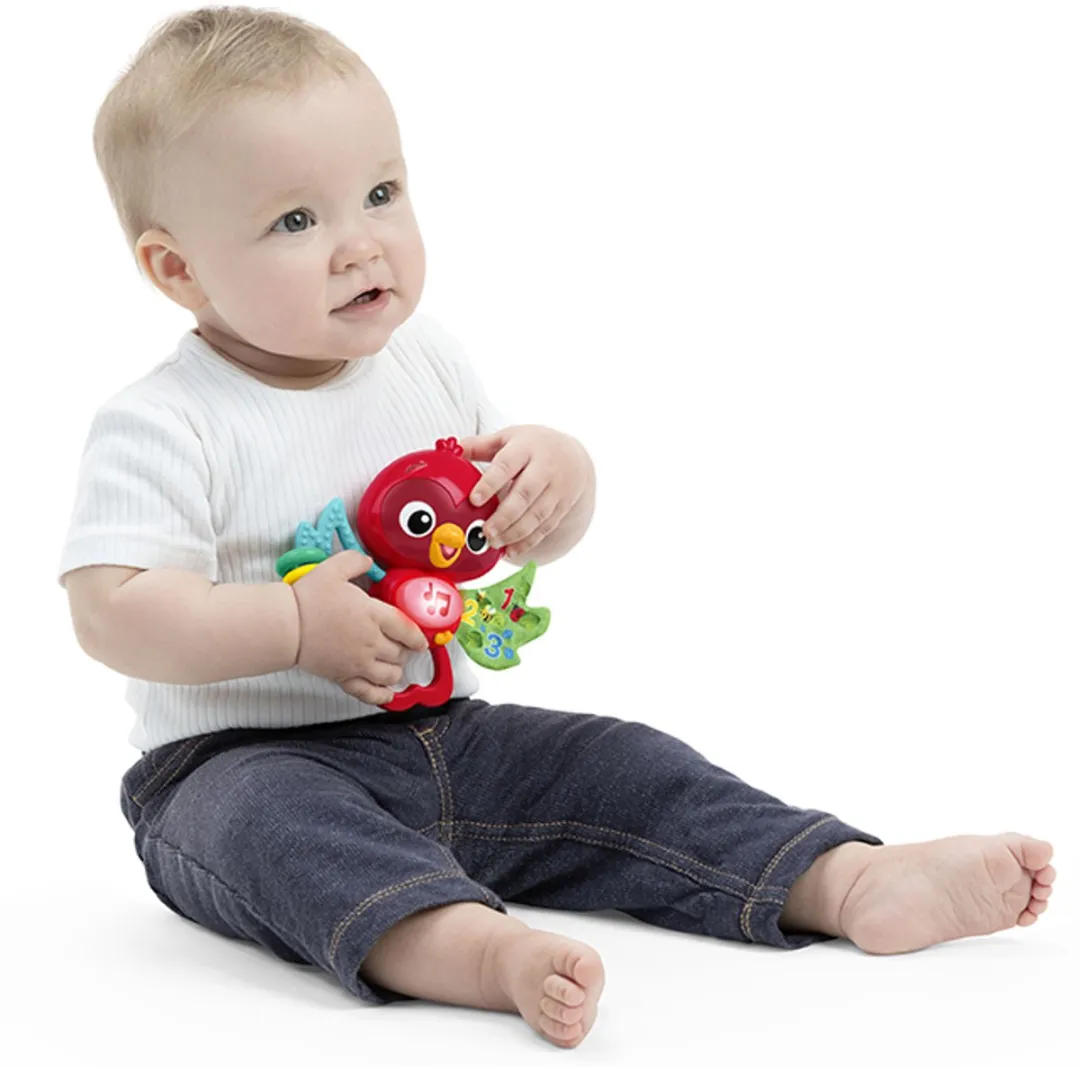 Baby Einstein Roxy's Bright Flight Grijpspeeltje - Multicolor