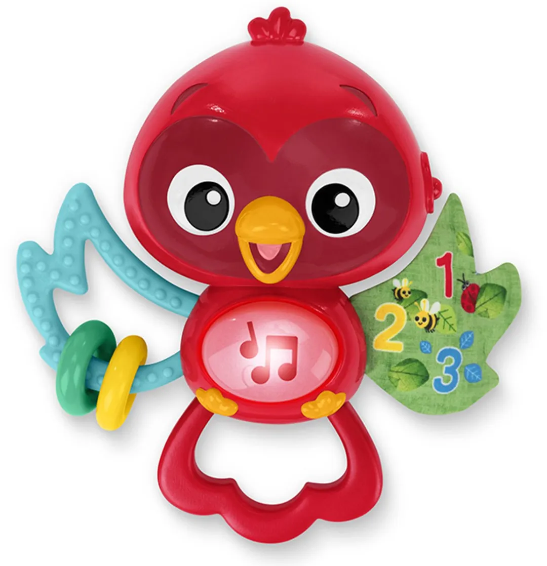 Baby Einstein Roxy's Bright Flight Grijpspeeltje