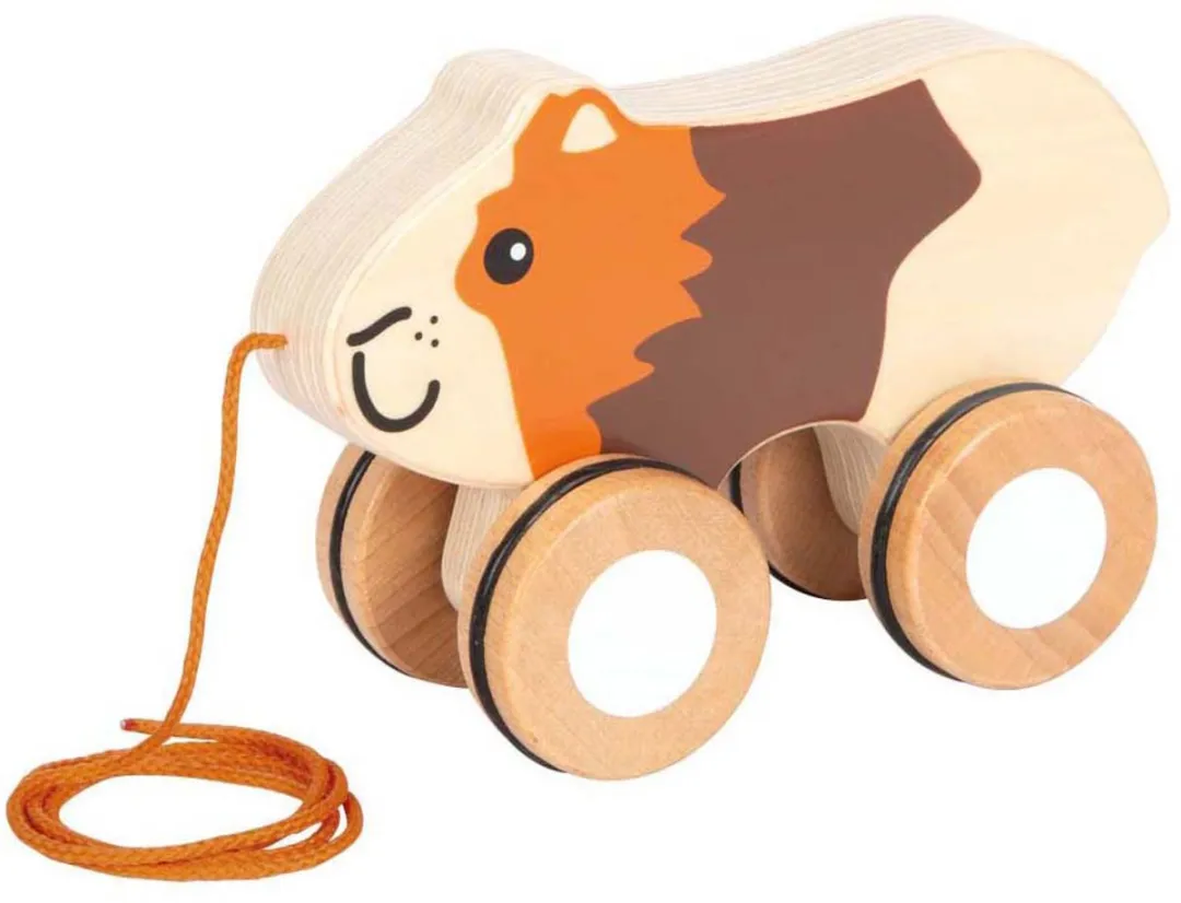 Small Foot Houten Trekcavia - Multi kleuren