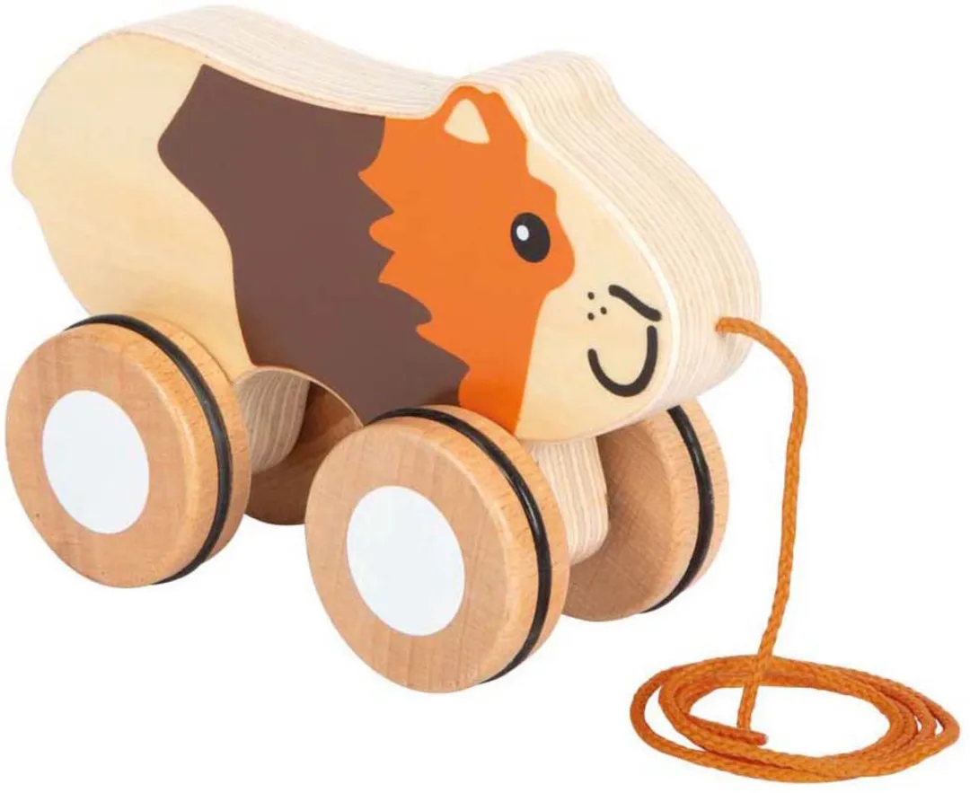 Small Foot Houten Trekcavia - Multi kleuren