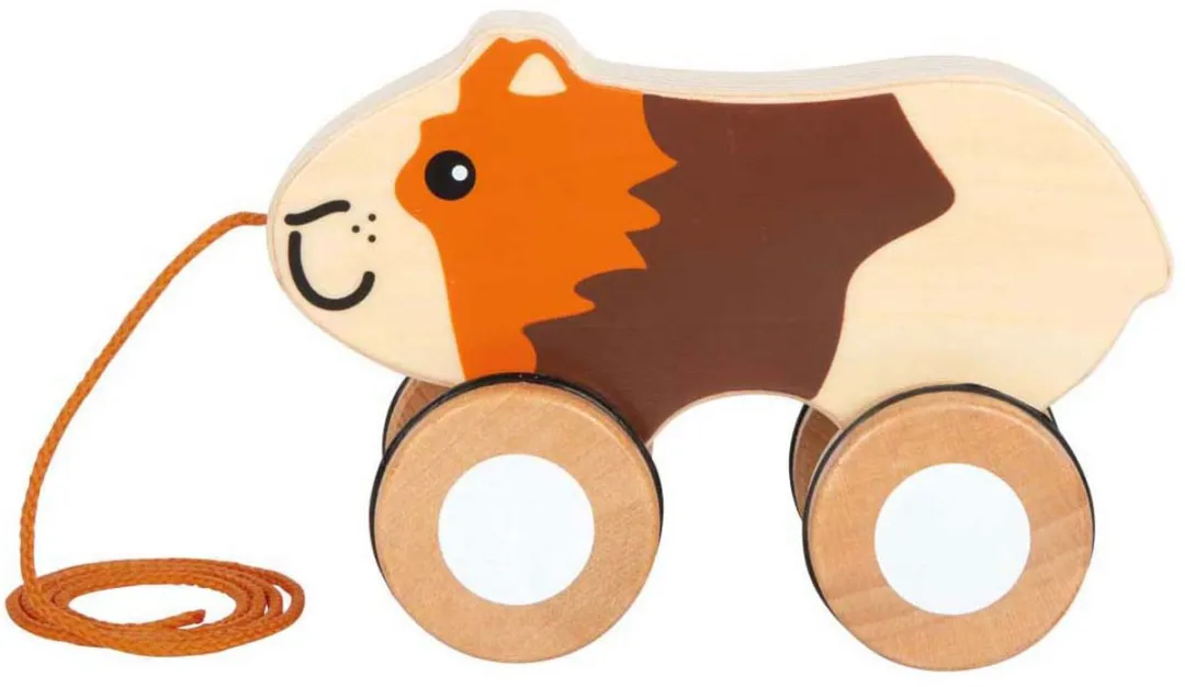 Small Foot Houten Trekcavia - Multi kleuren