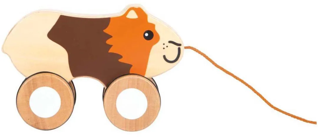Small Foot Houten Trekcavia