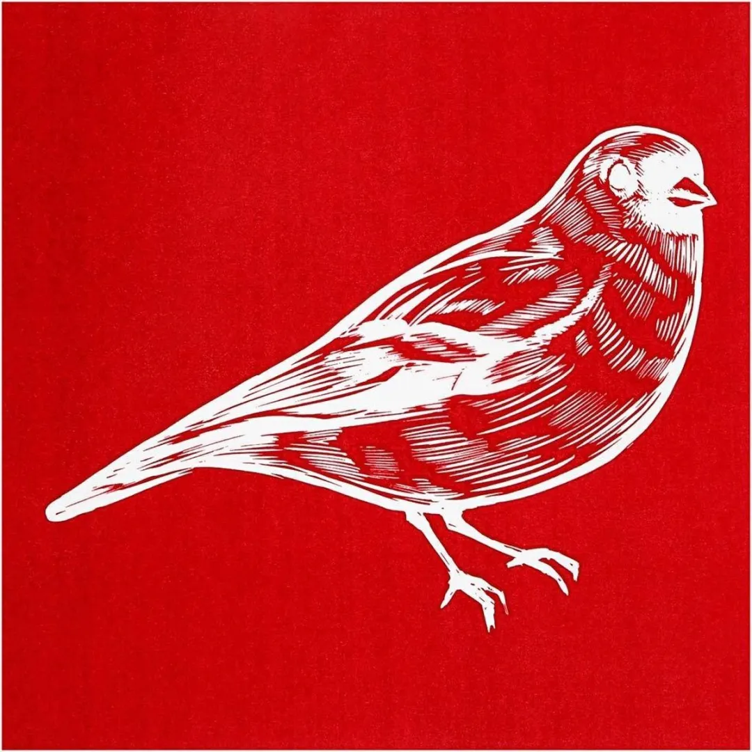 Creativ Company Vogel Screen Stencil 20x22cm - Wit