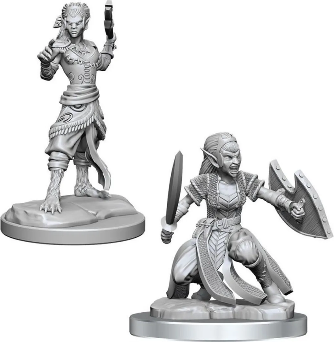 Wizkids D&D Nolzur's Marvelous Miniatures Shifter Fighter - Grijs