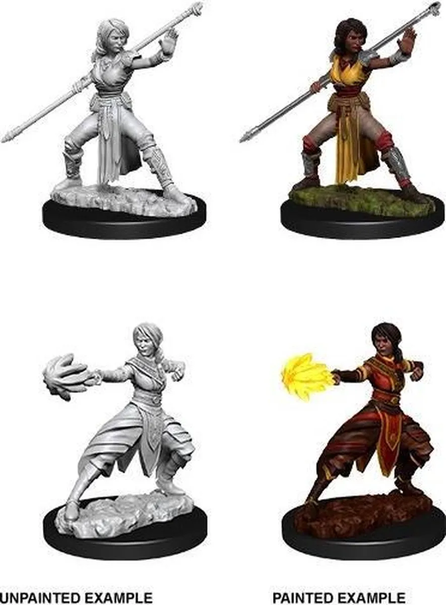 Wizkids Dungeons & Dragons Nolzur's Marvelous Miniatures Half-Elf Monk