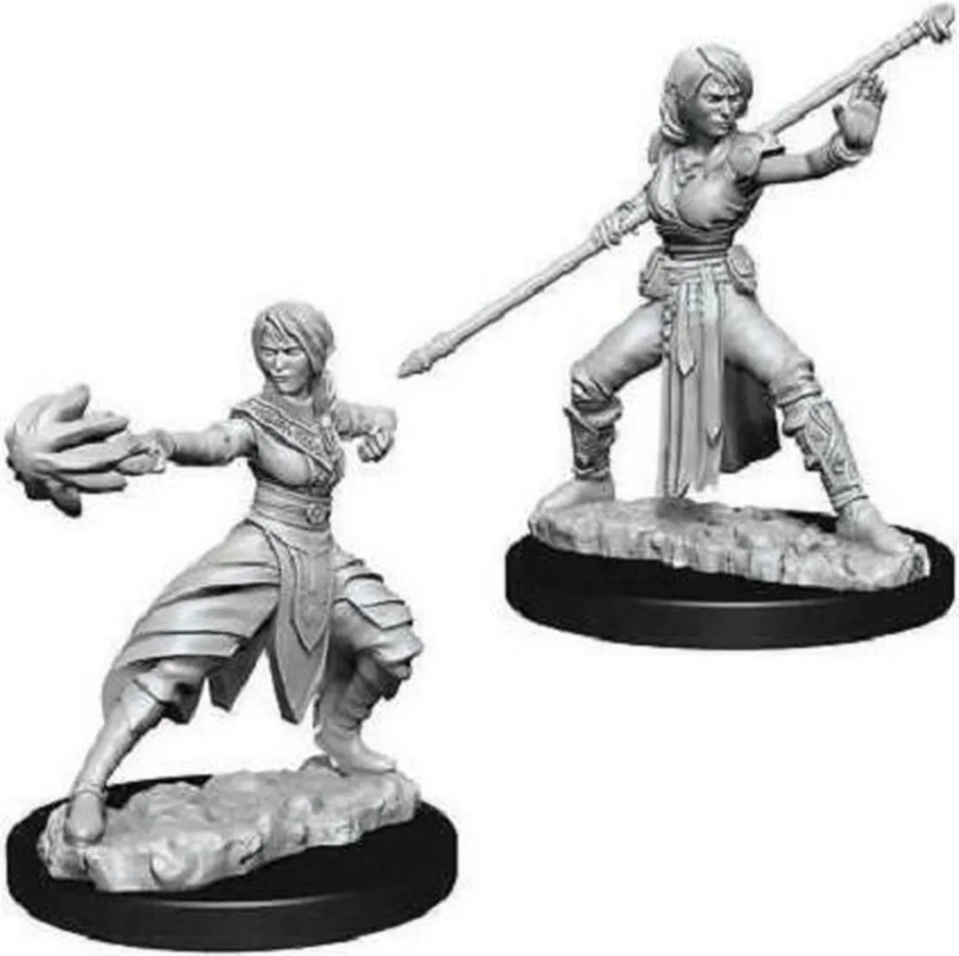 Wizkids Dungeons & Dragons Nolzur's Marvelous Miniatures Half-Elf Monk - Multi