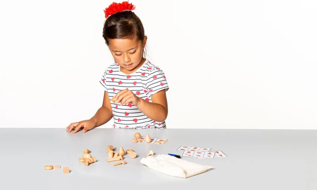 Toys for Life Vormen Bingo - Educatief Houten Speelgoed 4+