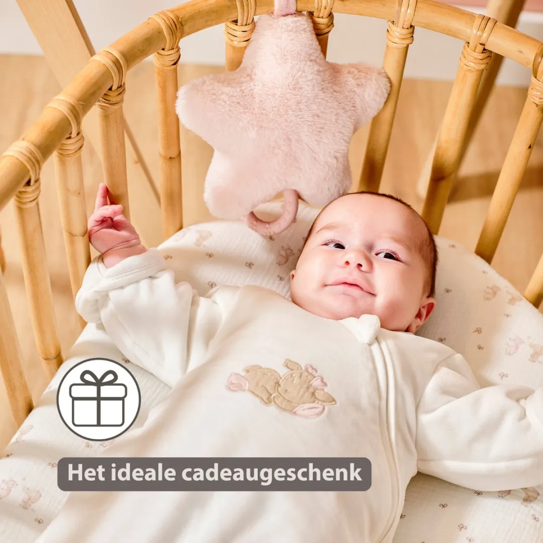 Nattou FanFan Muziekknuffel Ster 25cm - Roze