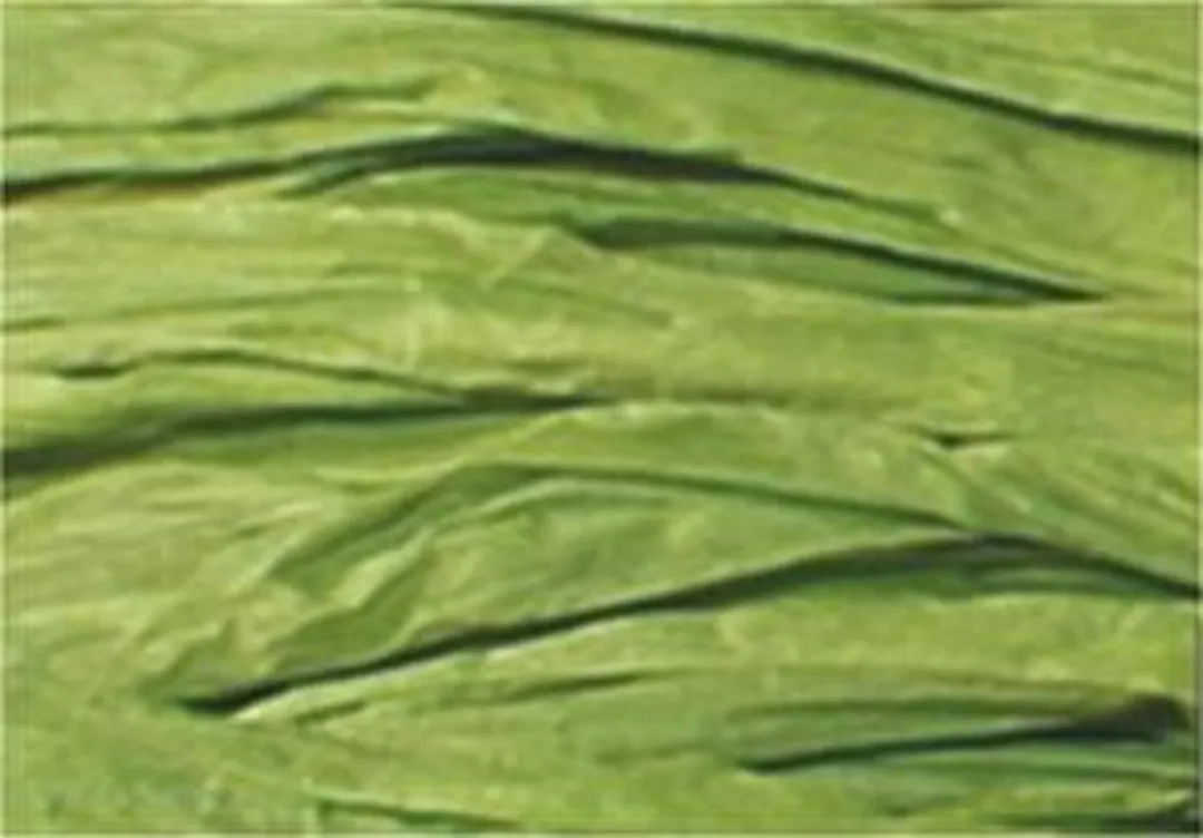 Folia Raffia 50g Groen