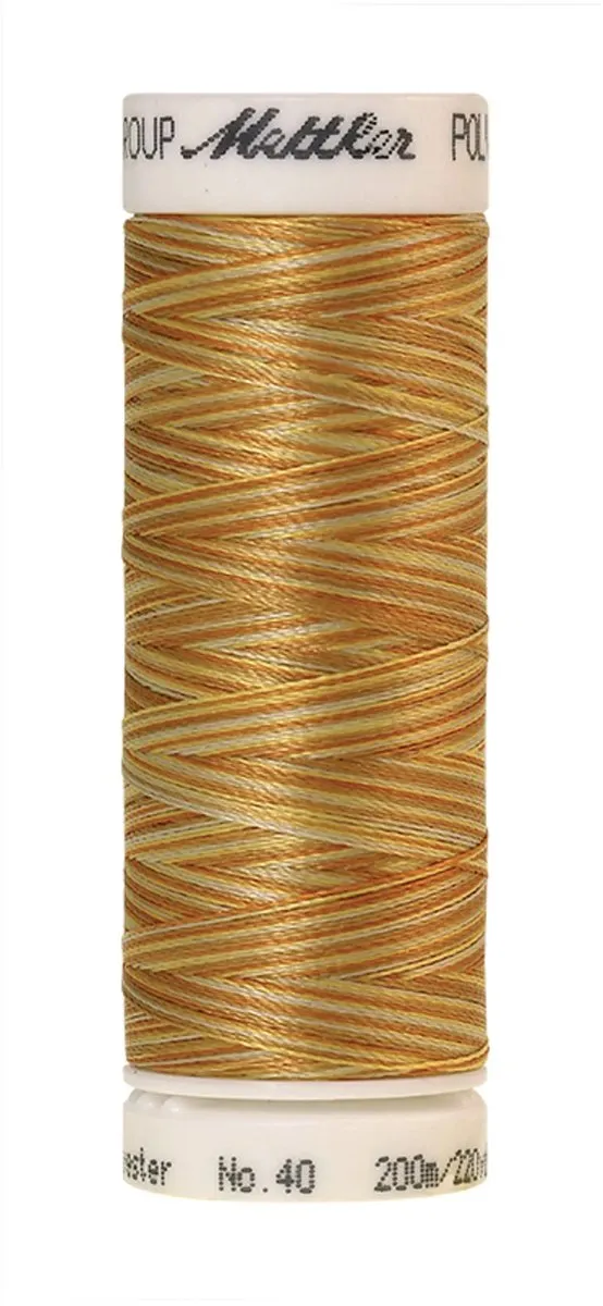 Amann Mettler Poly Multi Borduurgaren 9933 - Multicolor