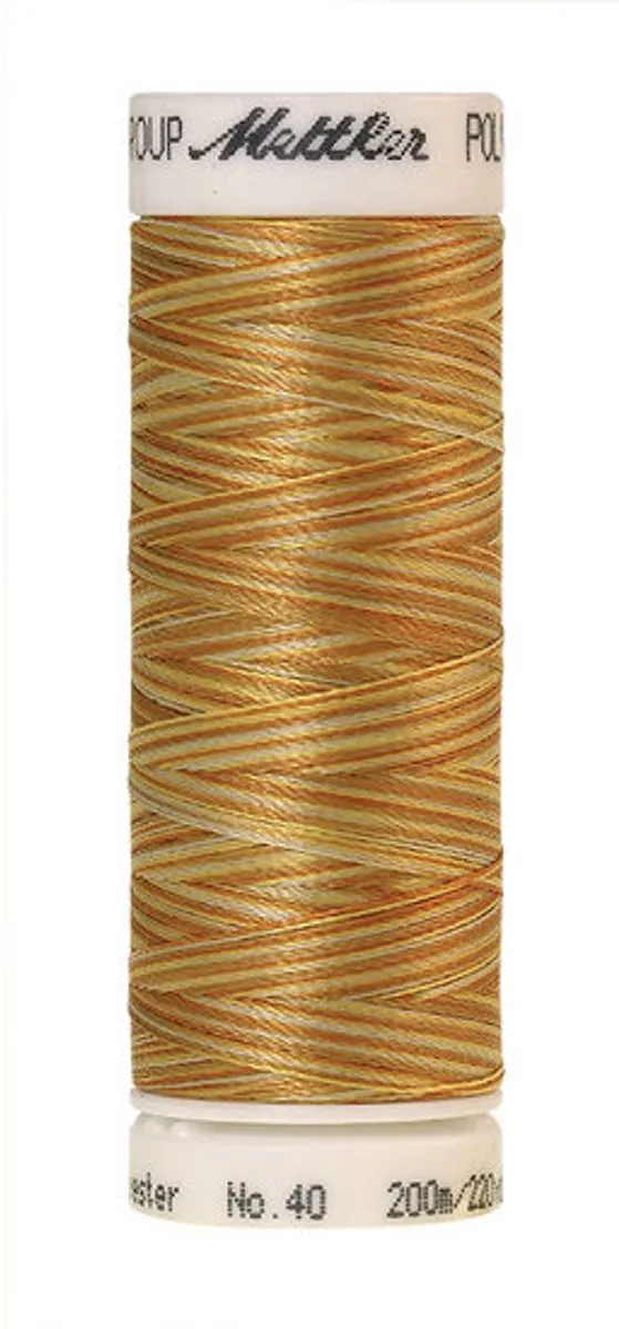 Amann Mettler Poly Multi Borduurgaren 9933 - Multicolor