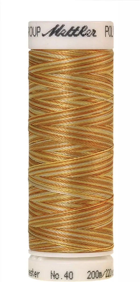 Amann Mettler Poly Multi Borduurgaren 9933 - Multicolor