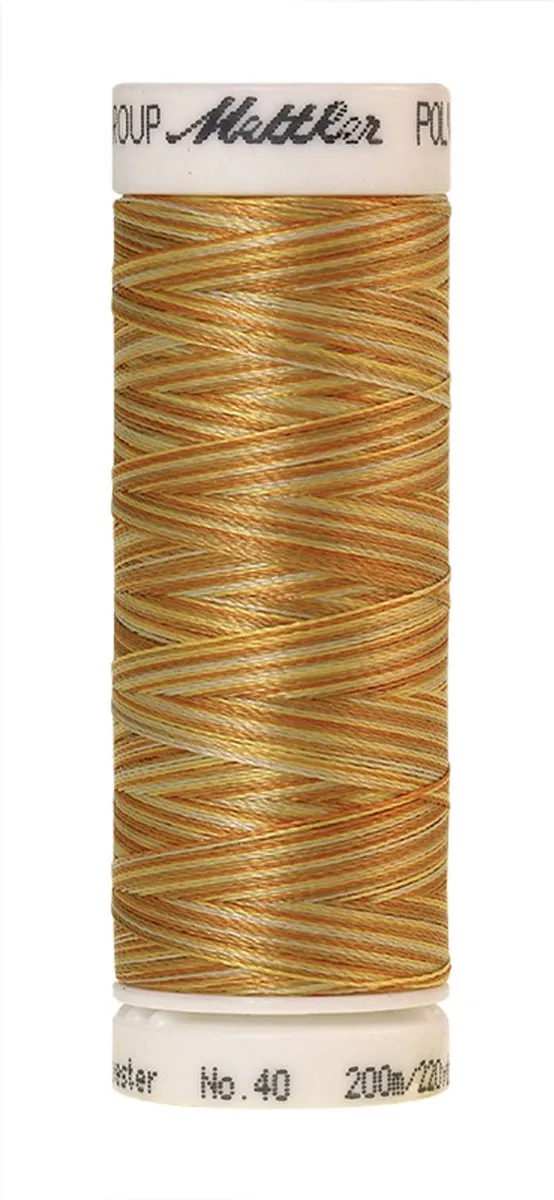 Amann Mettler Poly Multi Borduurgaren 9933