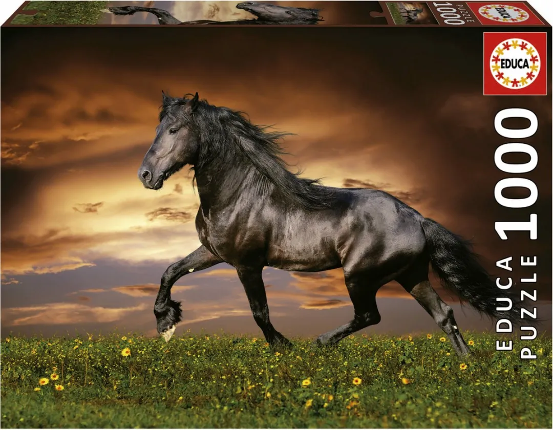 Educa Paard Puzzel 1000 Stuks