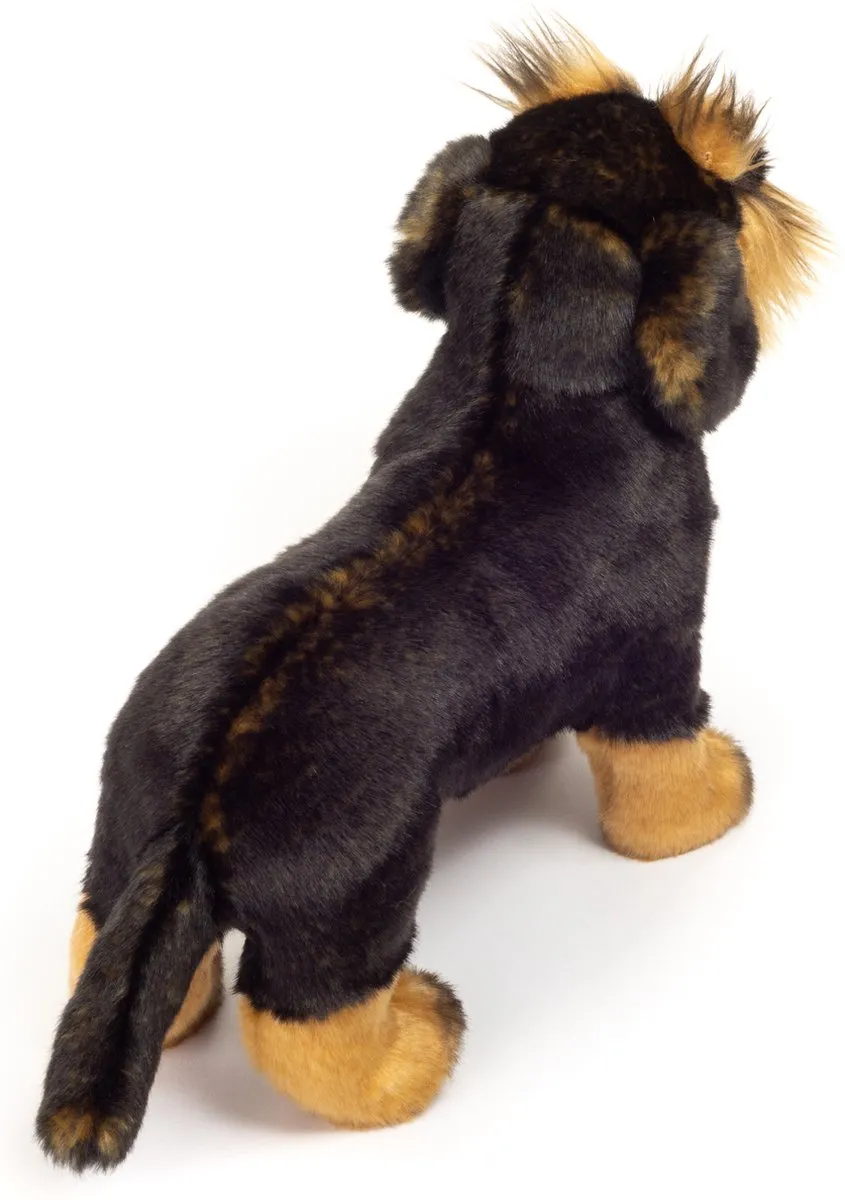 Teddy Hermann Knuffel Hond Ruwharige Teckel - Bruin