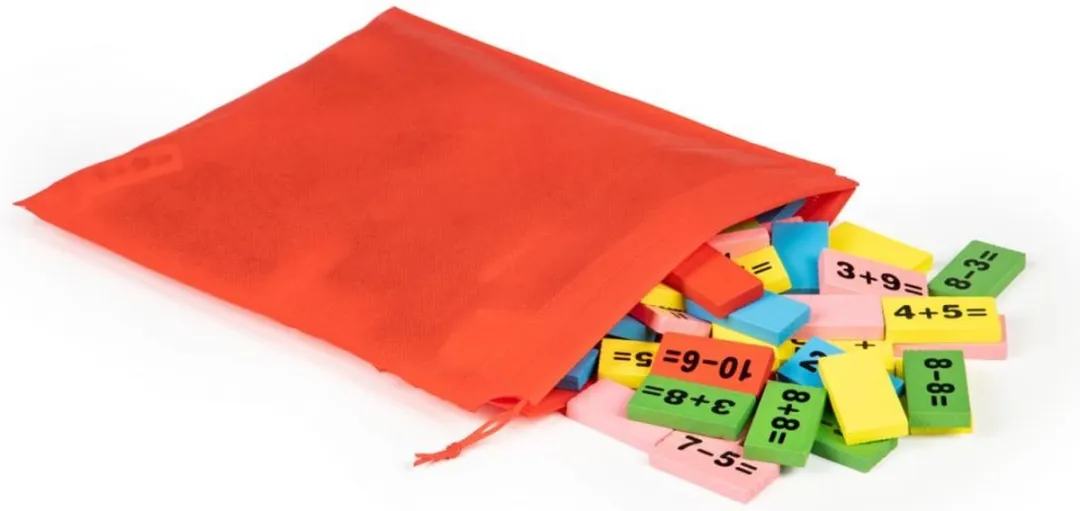 ECOTOYS Wiskundige Blokken Domino Set - Multikleur
