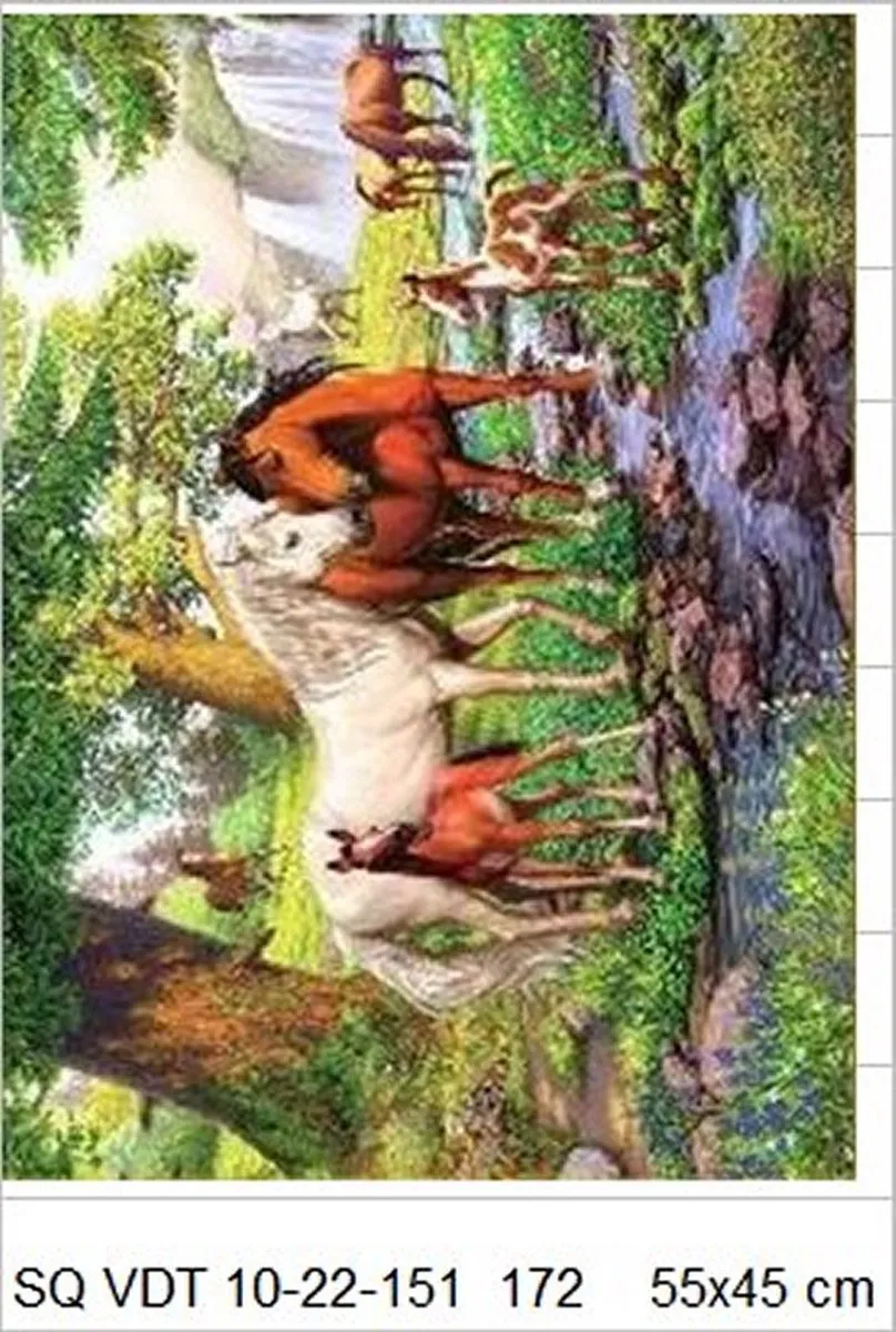 VDTOYS Diamond Painting VDTB172 - Groot formaat 55x45cm - Paarden