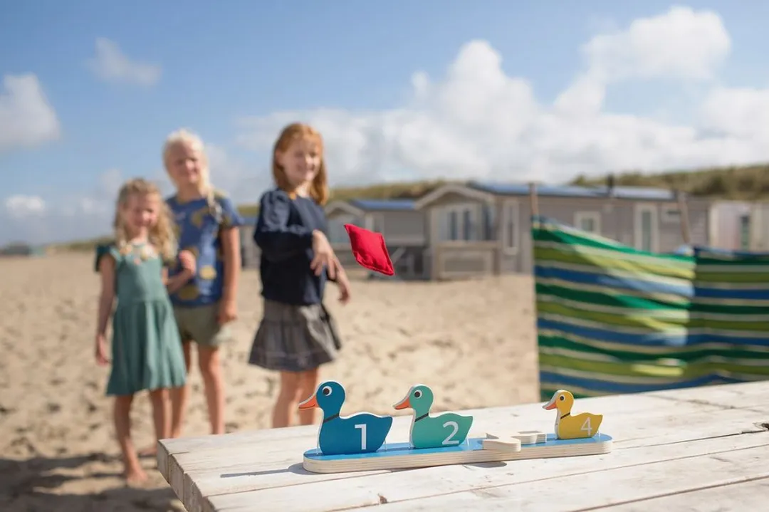 BS Toys Eendjes Op Rij Houten Werpspel - Multikleur