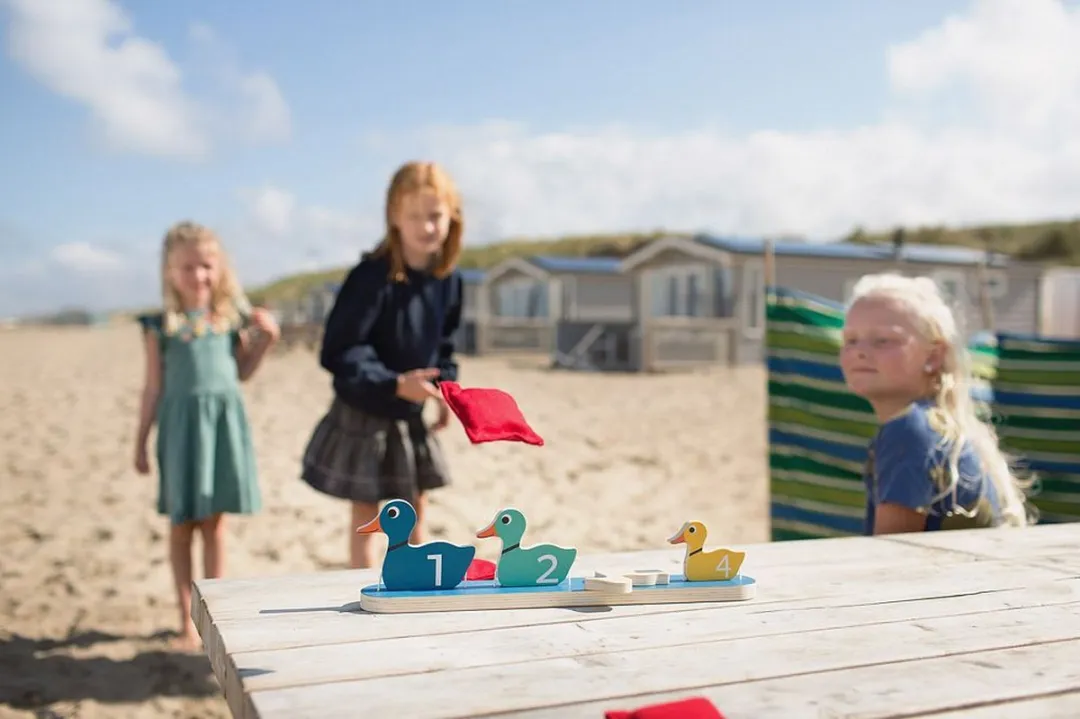 BS Toys Eendjes Op Rij Houten Werpspel - Multikleur