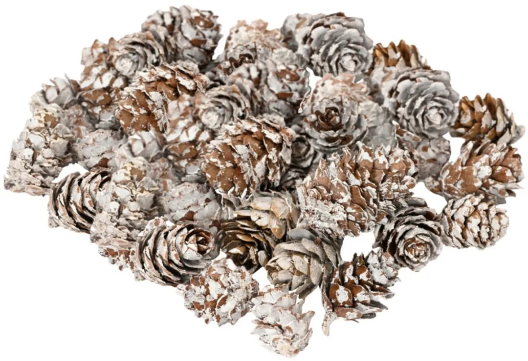 Decoris Kleine Dennenappeltjes