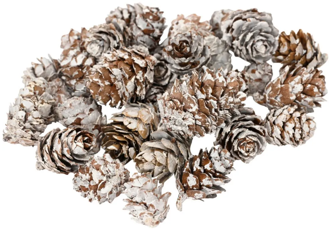 Decoris Kleine Dennenappeltjes - 120 Stuks