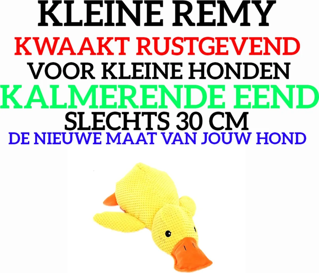 RedParrot Remy de Hondenvriend Knuffel