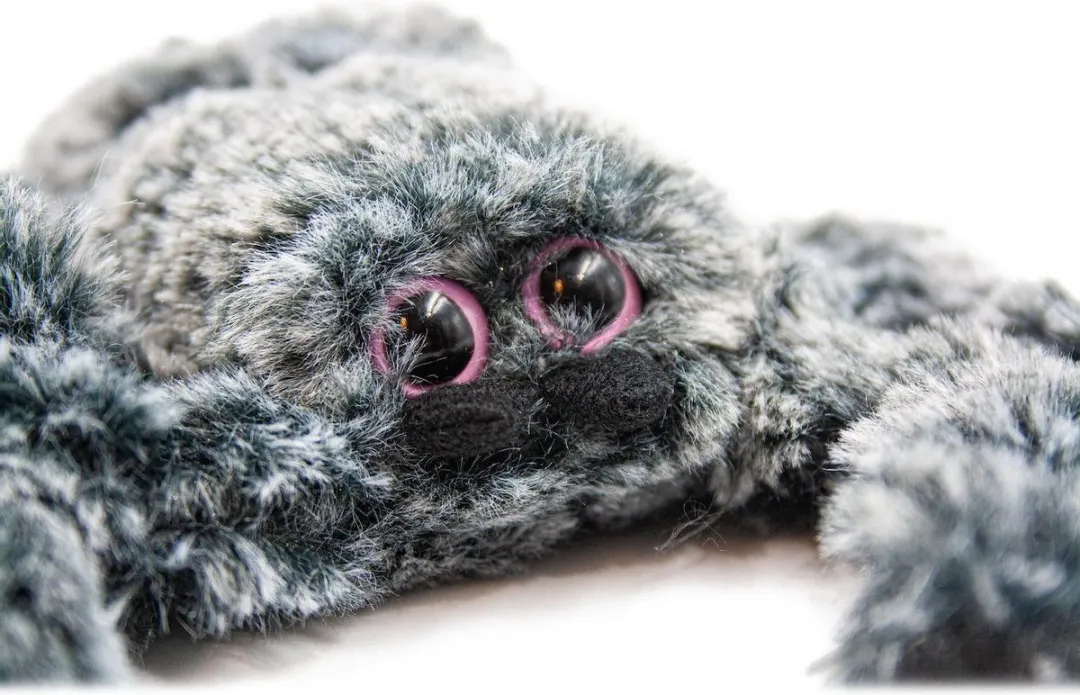 PIA Soft Toys Knuffel Vogelspin - Zwart - 13 cm