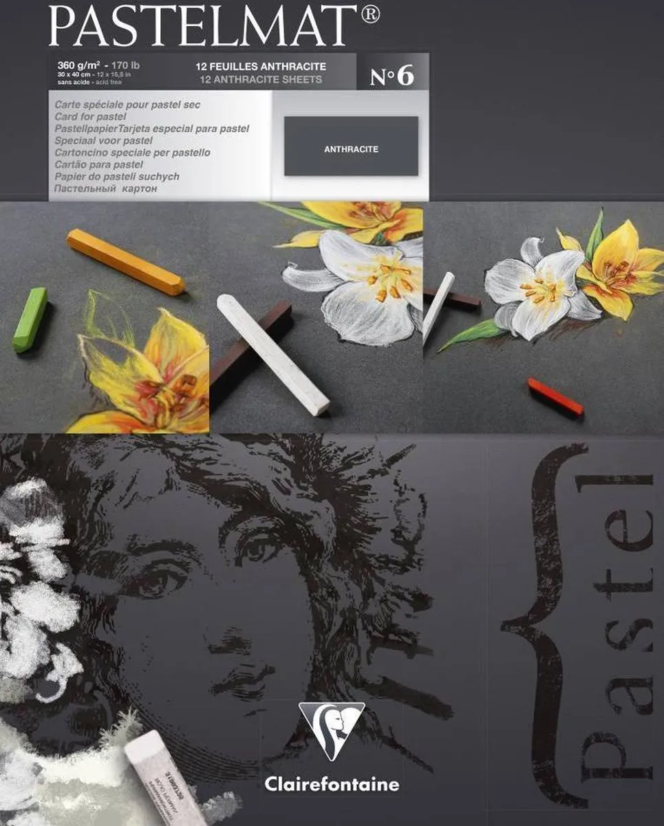 Clairefontaine Pastelmat 12 Vel