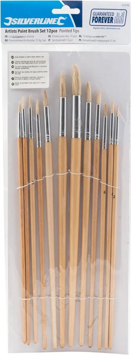 Silverline Penselen - Spitse Punten - 12 Stuks