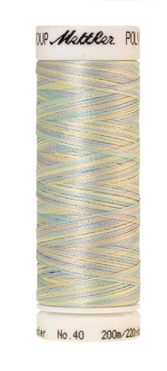Amann Mettler Poly Multi Borduurgaren 9936 - 200m Multicolor