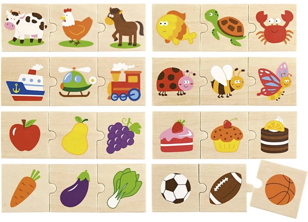 Viga Toys Logica Puzzelset 24-delig