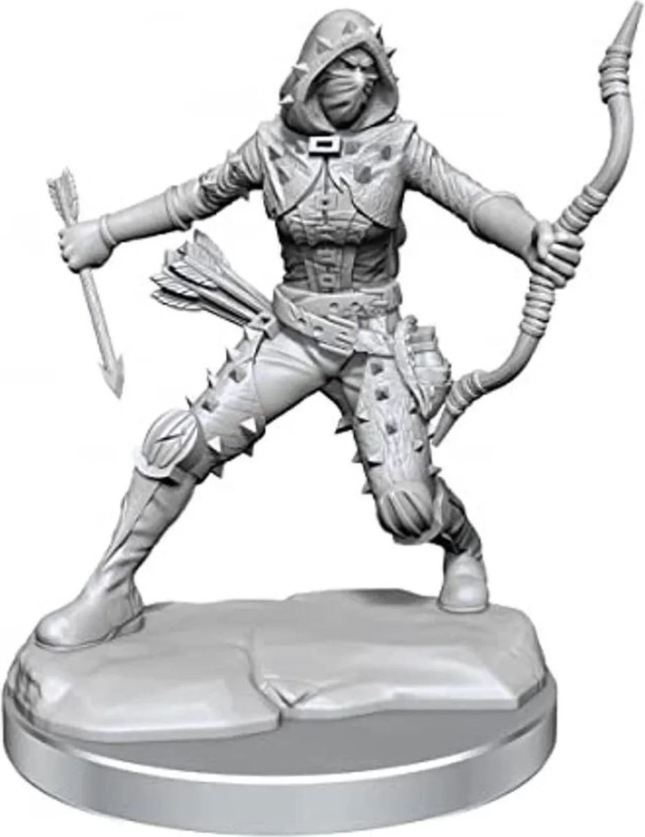 Wizkids D&D Frameworks Human Rogue Female