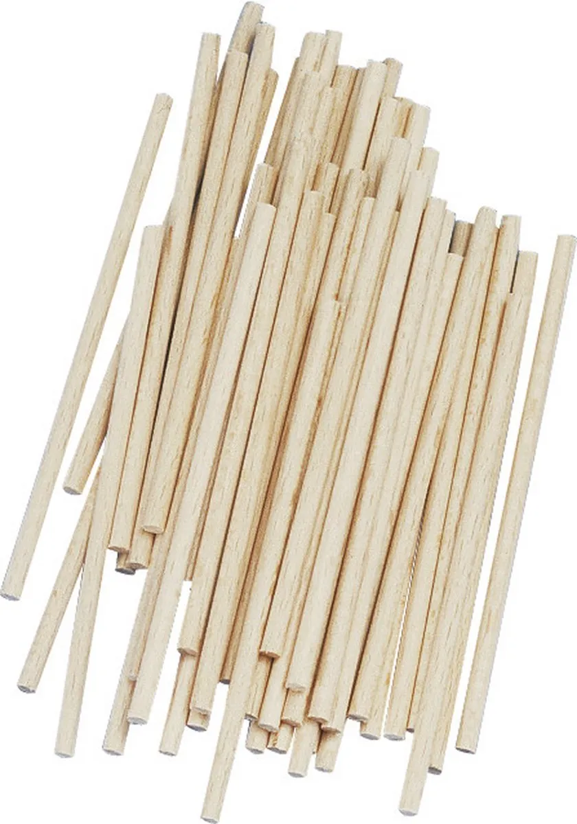 Rayher Knutselhoutjes 60 Stuks