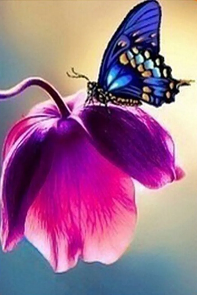 VDTOYS Diamond Painting VDT045 Butterfly
