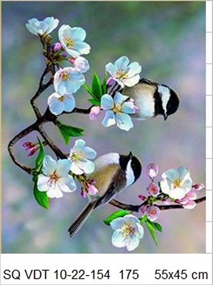 VDTOYS Diamond Painting VDTB175 - Beautifull Birds 3 - 55x45cm