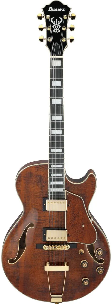 Ibanez Artcore AG95MG-DA Elektrische Gitaar