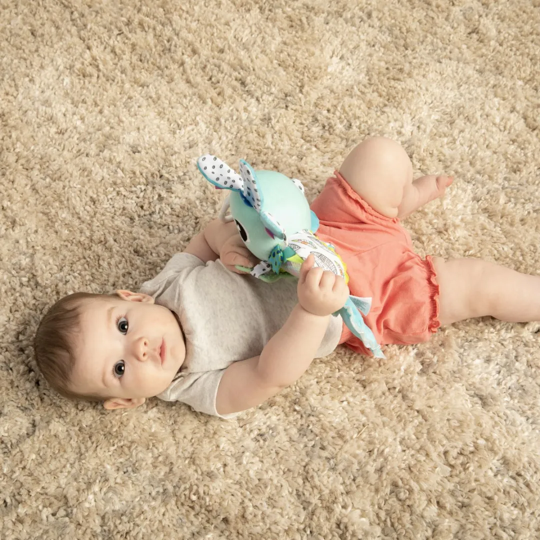 Lamaze Alise de Axolotl Grijp- en bijtspeelgoed - Meerkleurig