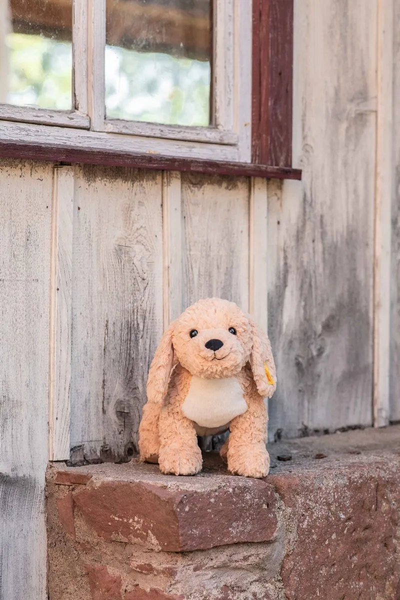 Steiff Berno Goldendoodle 36cm - Multikleur