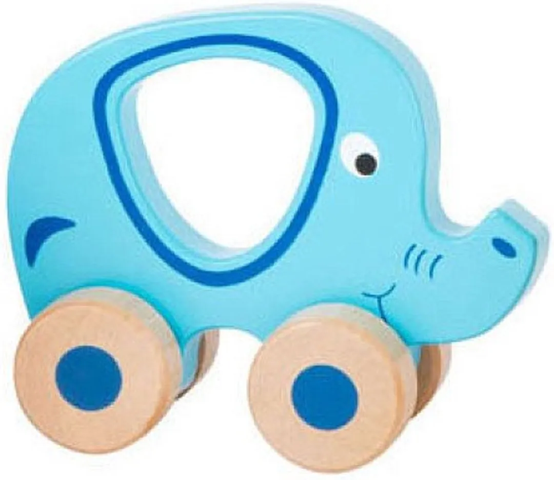 Small Foot Houten Duwfiguur Dier op Wielen - Multikleuren