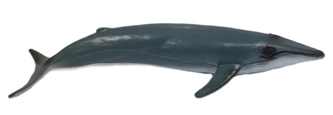 PIA Soft Toys Walvis Speelfiguur 15cm