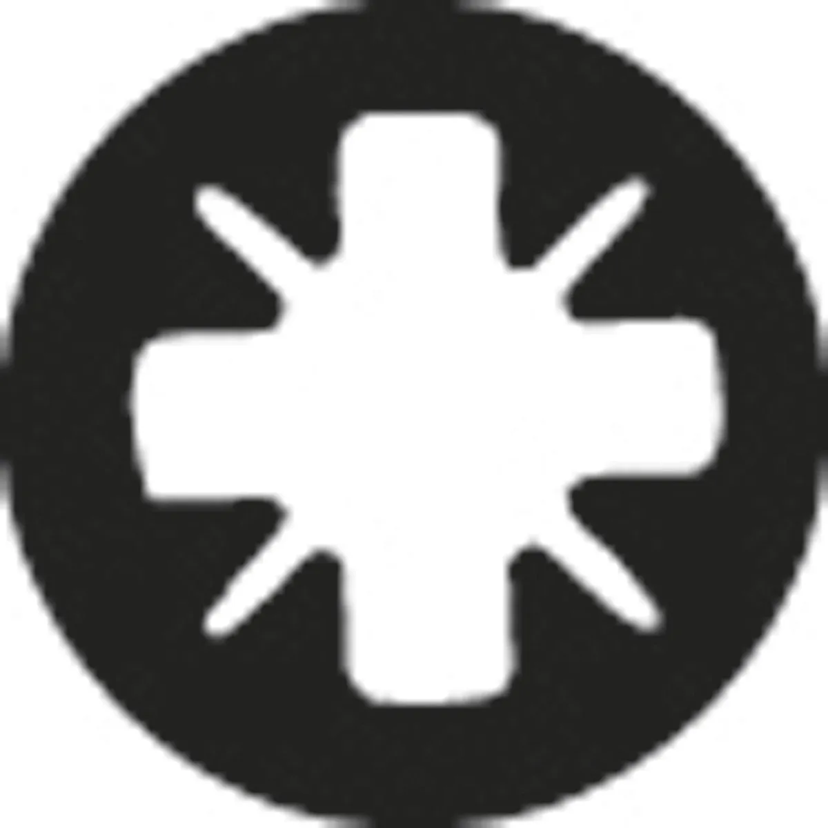 Bosch XH-TORS/PZ1 Bitjes - 10 Stuks